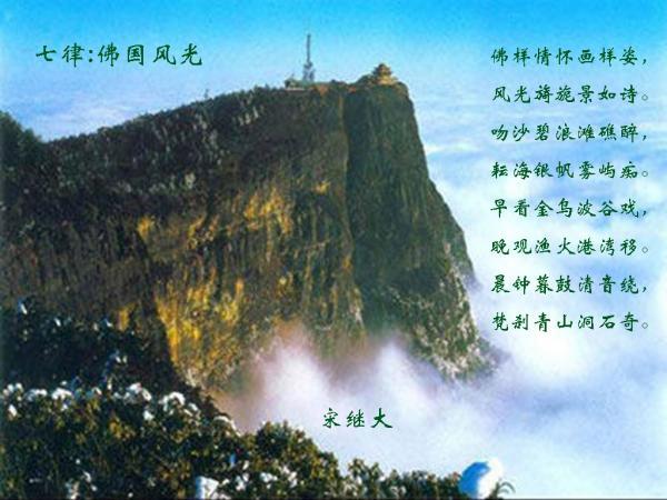 伤了另一半时，求原谅的话有哪些？